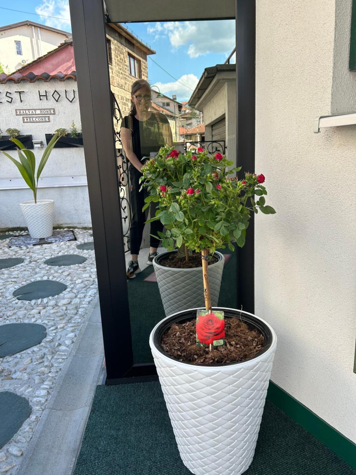 Halvat Guesthouse Сараево Екстериор снимка
