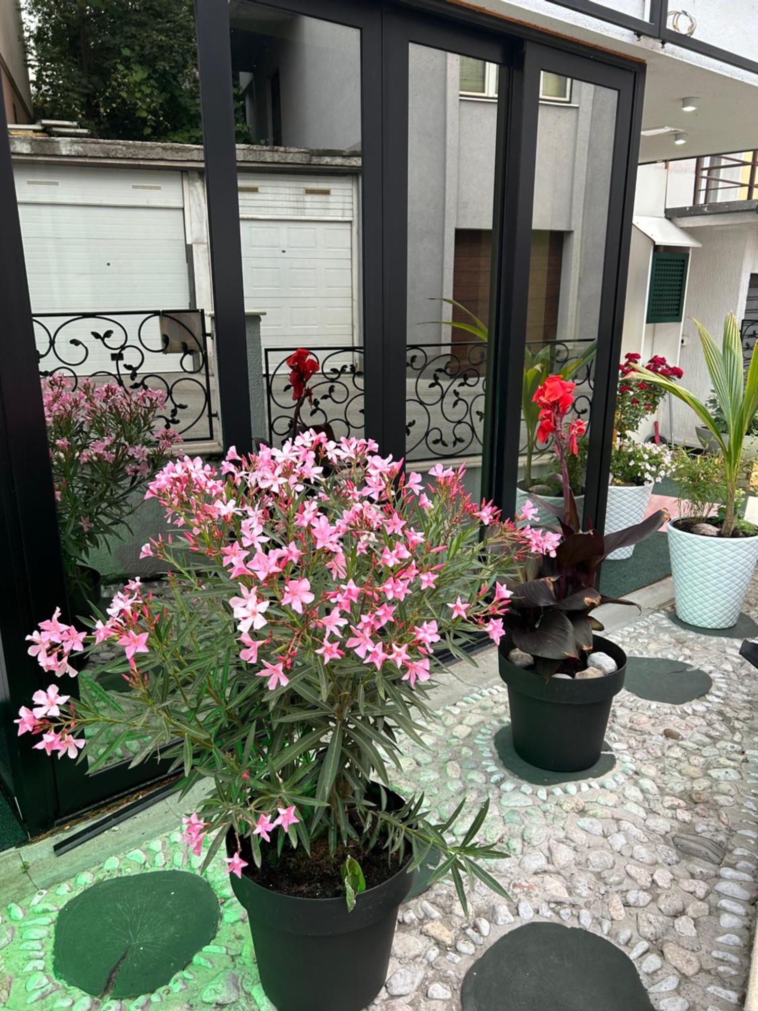 Halvat Guesthouse Сараево Екстериор снимка